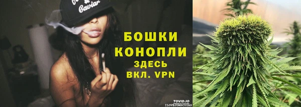 гидра Нефтекумск