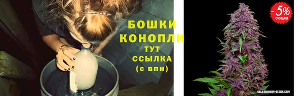 гидра Нефтекумск