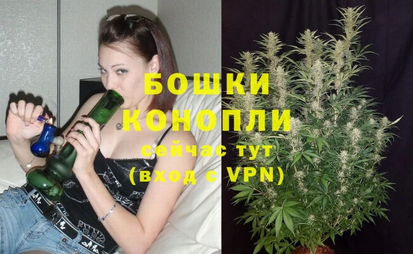 Альфа ПВП Нея
