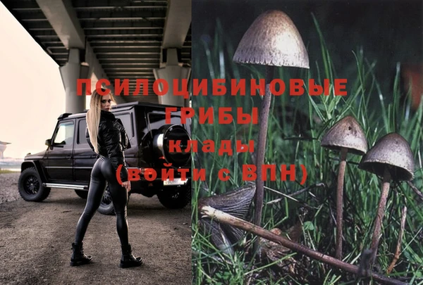 Альфа ПВП Нея