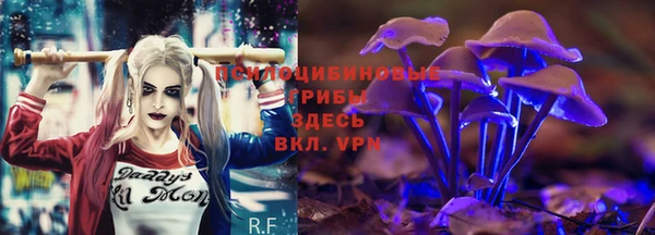 Альфа ПВП Нея