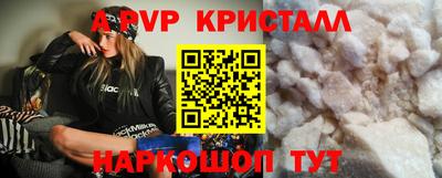 дмт Гай