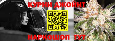 гашик Бийск