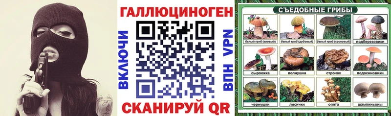 Галлюциногенные грибы Psilocybine cubensis  Волжский 