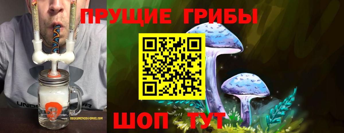 Псилоцибиновые грибы мухоморы Волжский